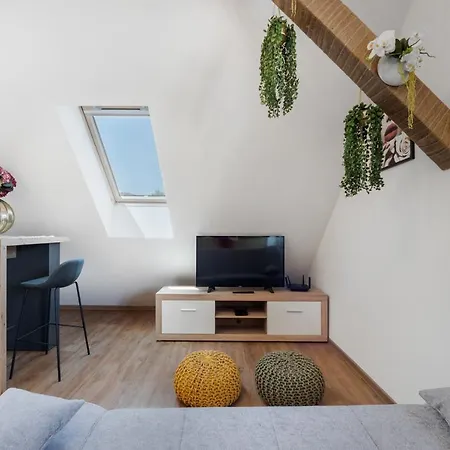 Charming 1-bedroom Loft In Siska District * ليوبليانا